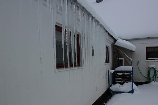 IMG_0275